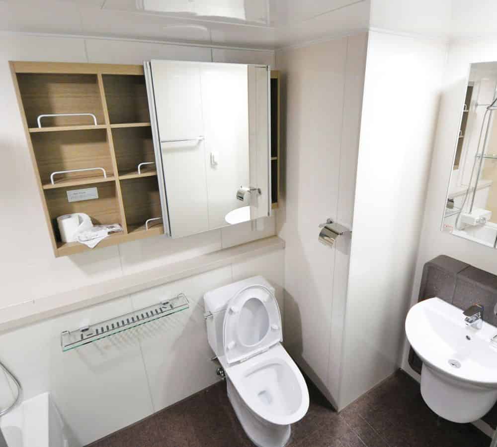 Toilet Installation image